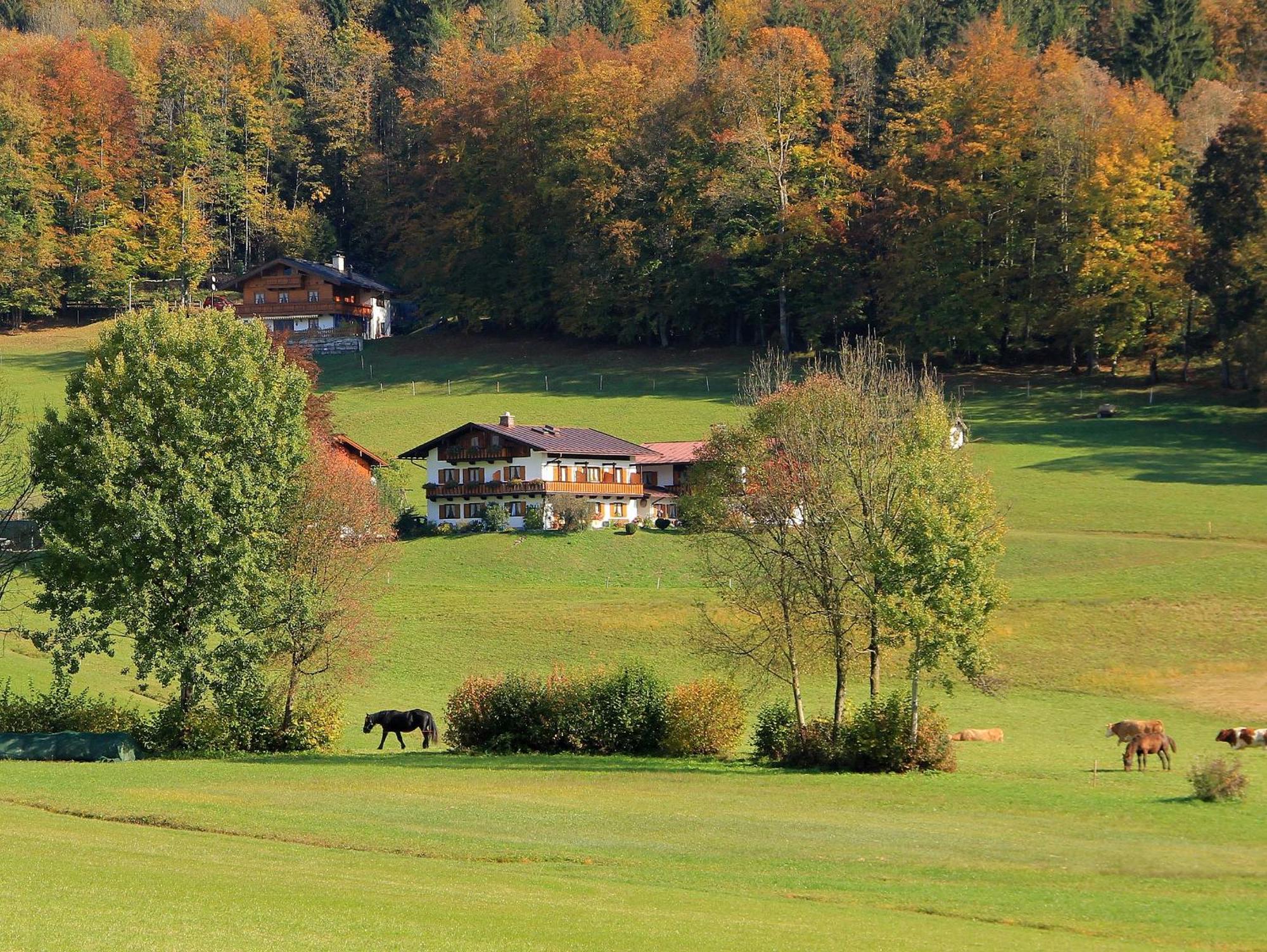 Apartamento Obergoebllehen Schönau am Königssee Exterior foto